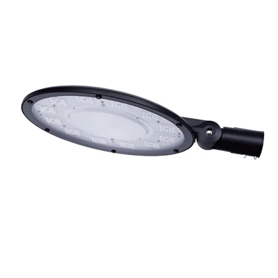 100W Ledli Bahçe Lambası